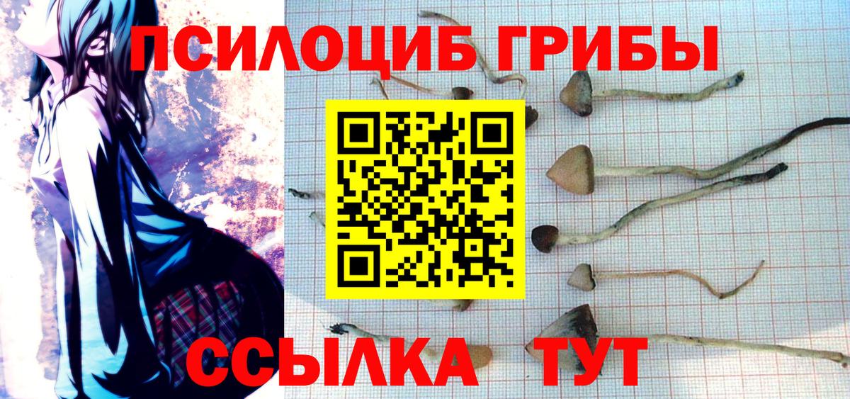 Можга  Галлюциногенные грибы MAGIC MUSHROOMS  Вход с VPN 