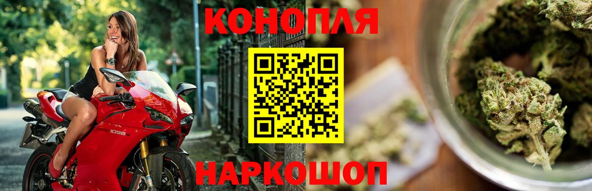 Конопля планчик Можга